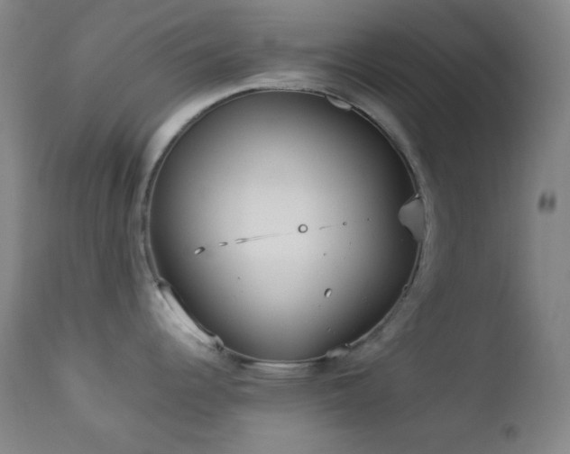 X0000112831344200908211208