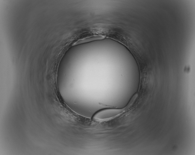 X0000112831345200908211207