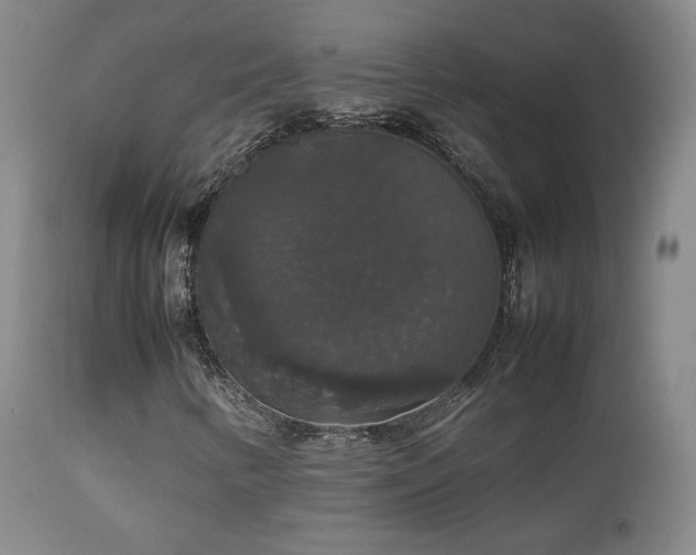 X0000112831346200908211207