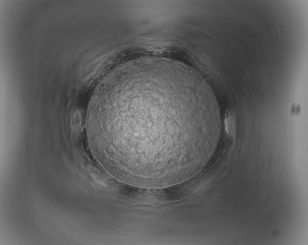 X0000112831347200908211207