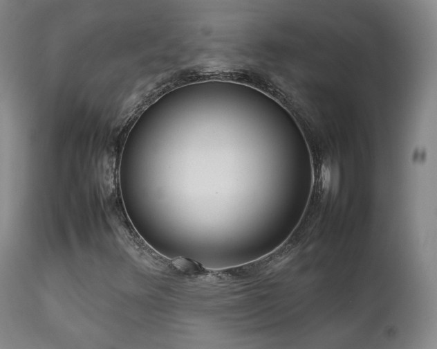 X0000112831348200908211207