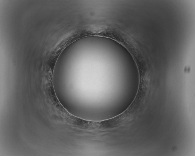 X0000112831349200908211207