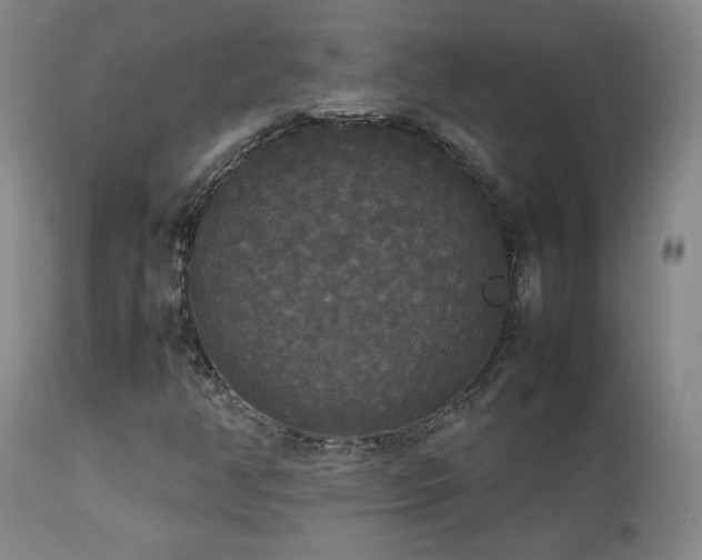 X0000112831350200908211207