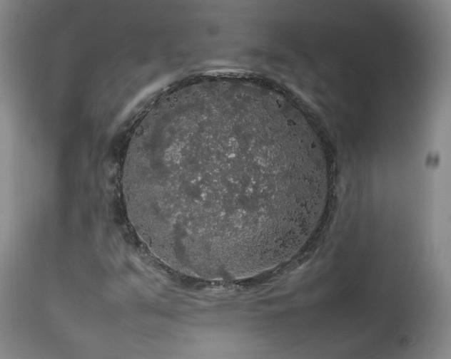 X0000112831351200908211207