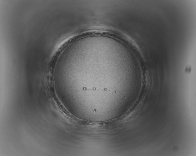 X0000112831352200908211207
