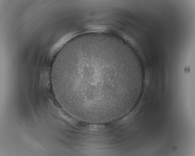 X0000112831354200908211207
