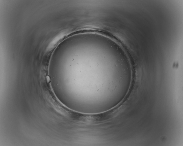 X0000112831355200908211207