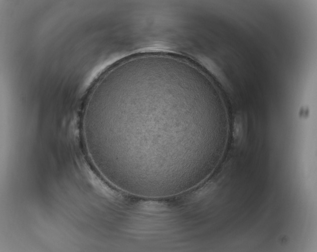 X0000112831356200908211207