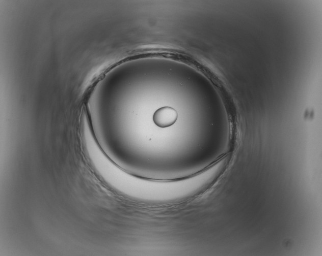 X0000112831357200908211207