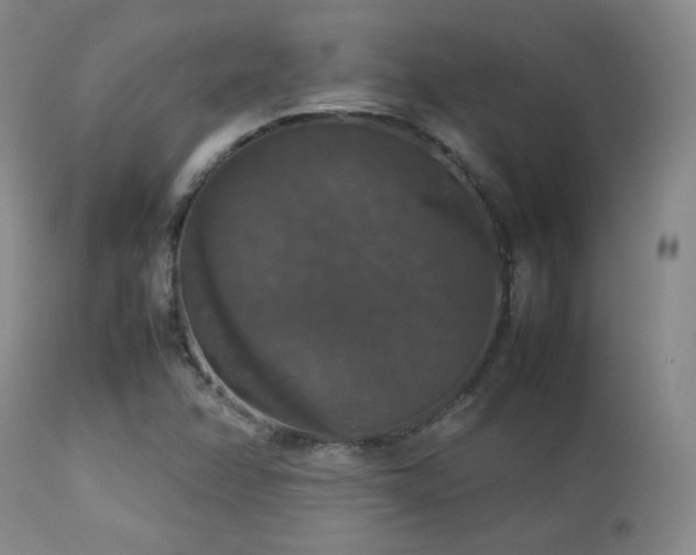 X0000112831358200908211207