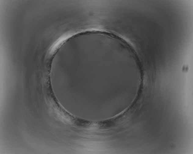 X0000112831359200908211207