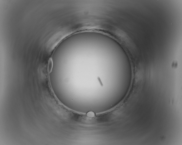 X0000112831361200908211207