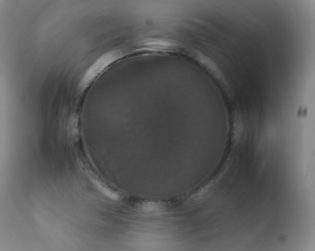 X0000112831362200908211207