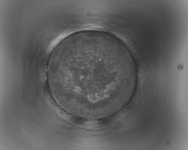 X0000112831363200908211207