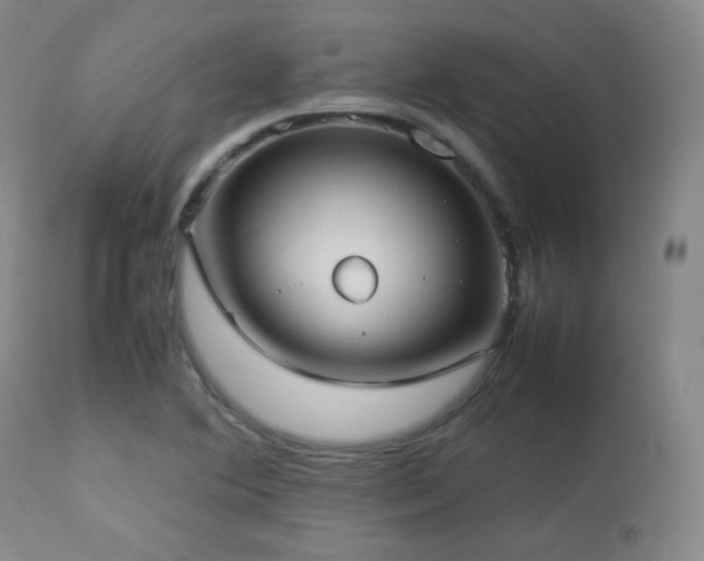 X0000112831364200908211207
