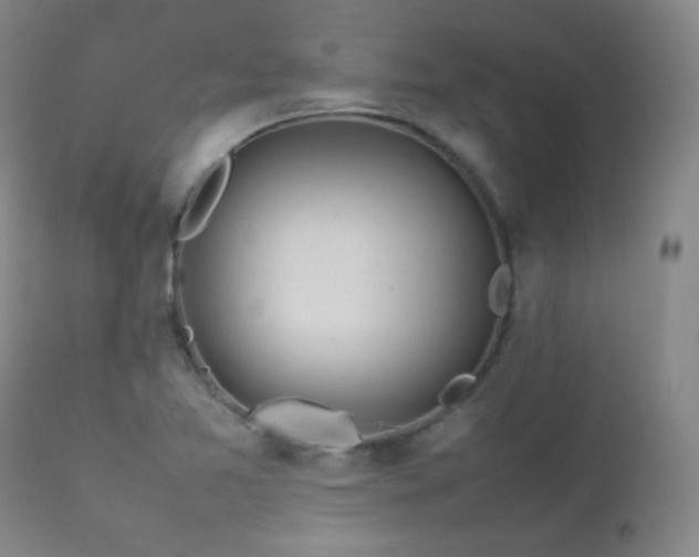 X0000112831365200908211207