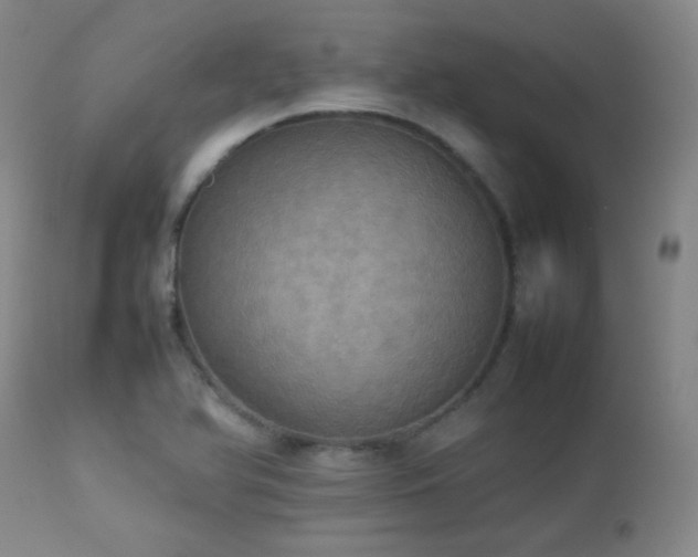 X0000112831366200908211207