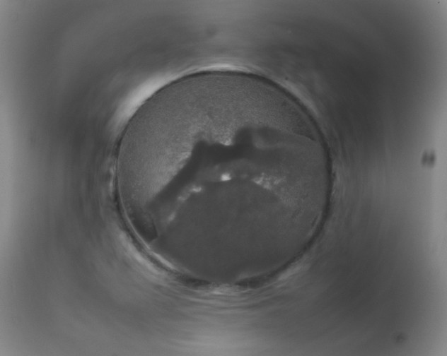 X0000112831367200908211207