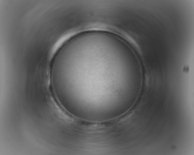 X0000112831368200908211207