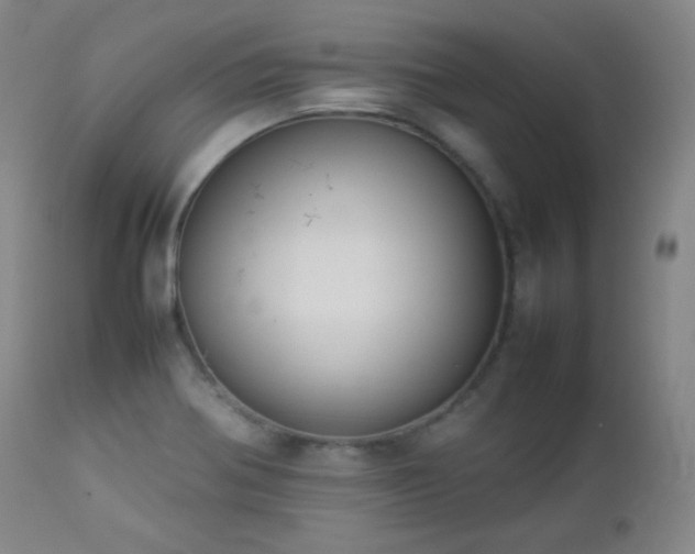 X0000112831370200908211206