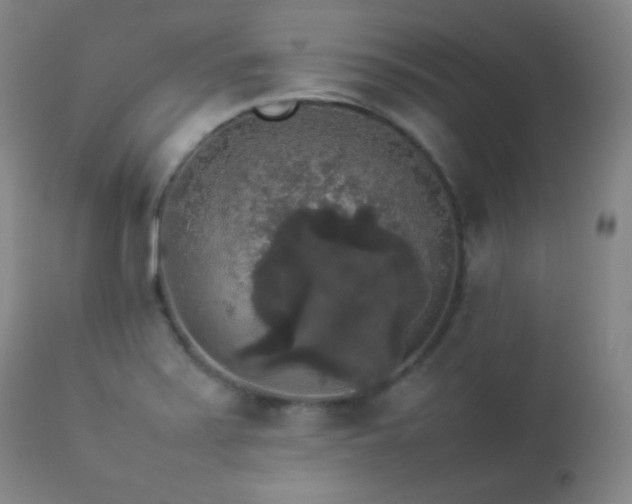 X0000112831371200908211206