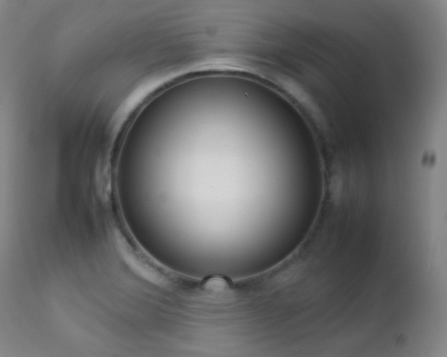 X0000112831372200908211206