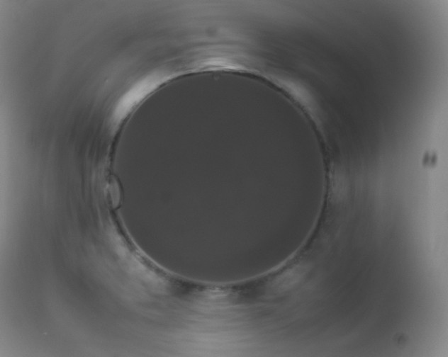 X0000112831373200908211206