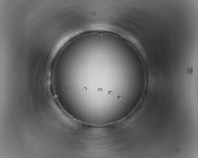 X0000112831376200908211206