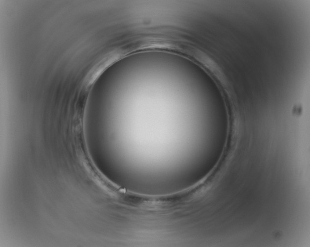 X0000112831377200908211206