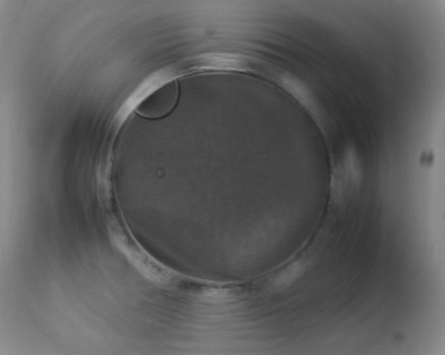 X0000112831378200908211206