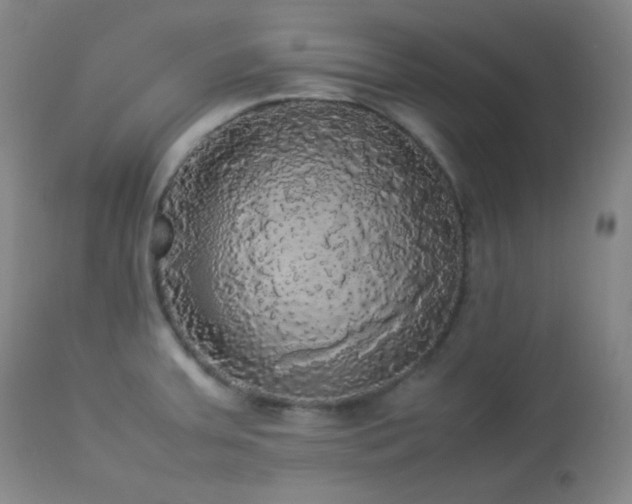 X0000112831379200908211206