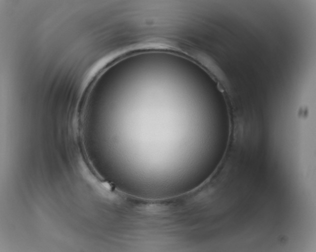 X0000112831380200908211206
