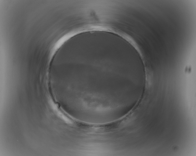 X0000112831381200908211206