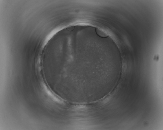 X0000112831382200908211206