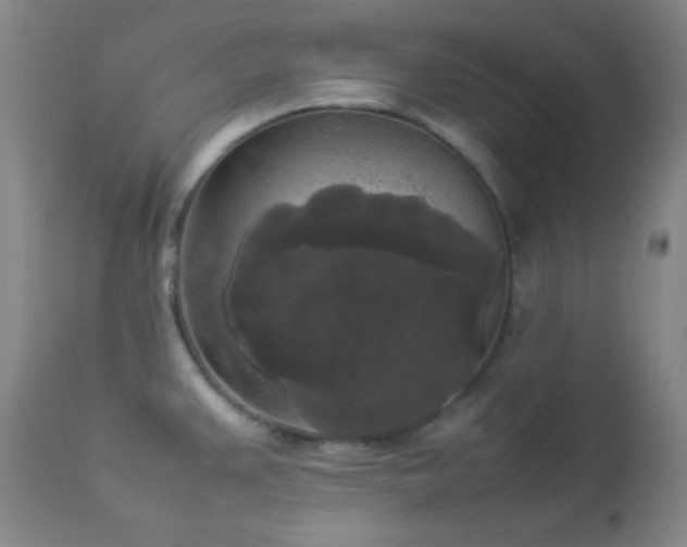 X0000112831383200908211206