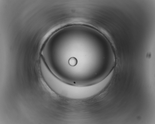 X0000112831384200908211206