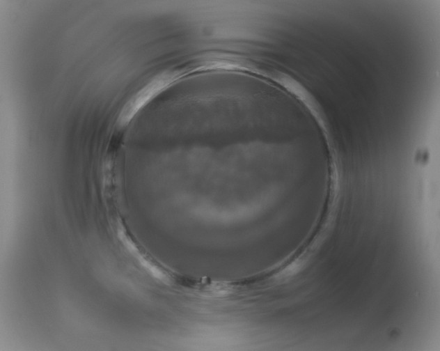 X0000112831385200908211206