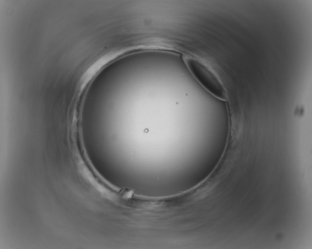 X0000112831387200908211206