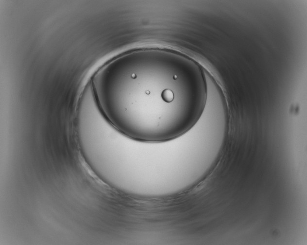 X0000112831388200908211206