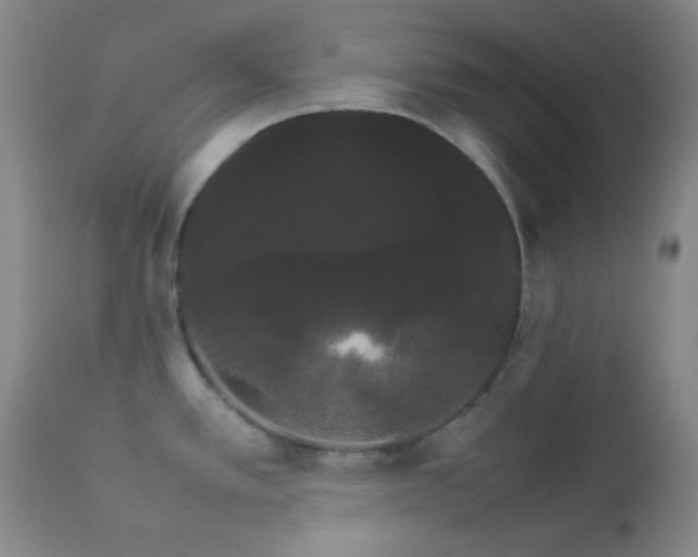 X0000112831389200908211206