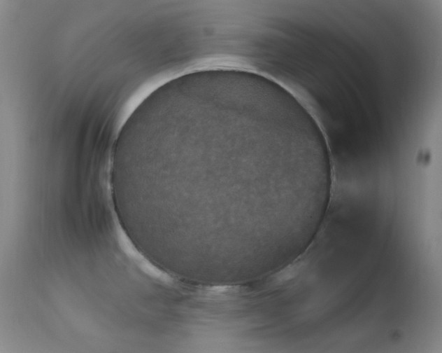 X0000112831390200908211206