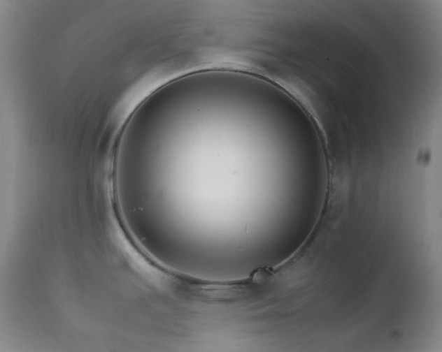 X0000112831391200908211206
