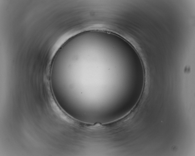 X0000112831392200908211206