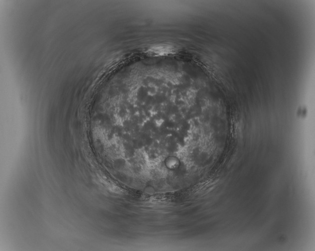 X0000112831393200908211205