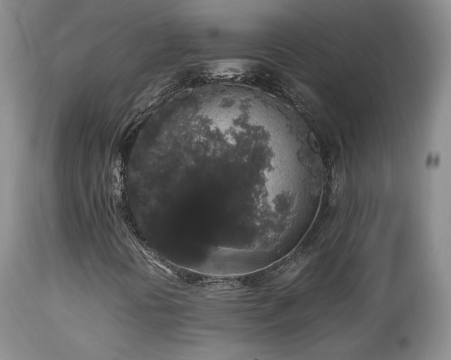 X0000112831394200908211205