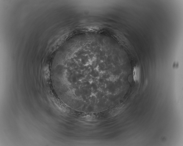X0000112831395200908211205