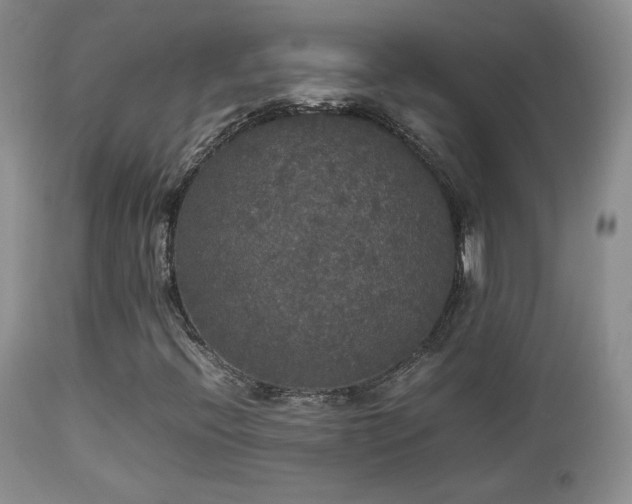 X0000112831396200908211205