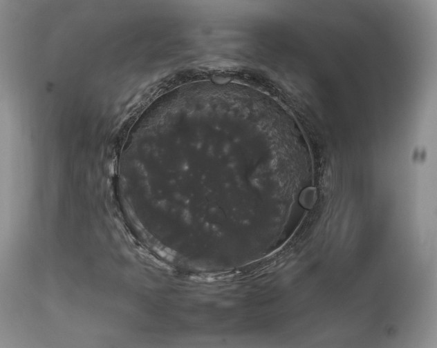 X0000112831397200908211205
