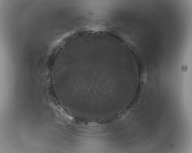 X0000112831398200908211205