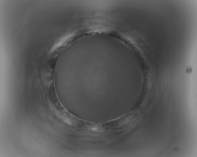 X0000112831399200908211205